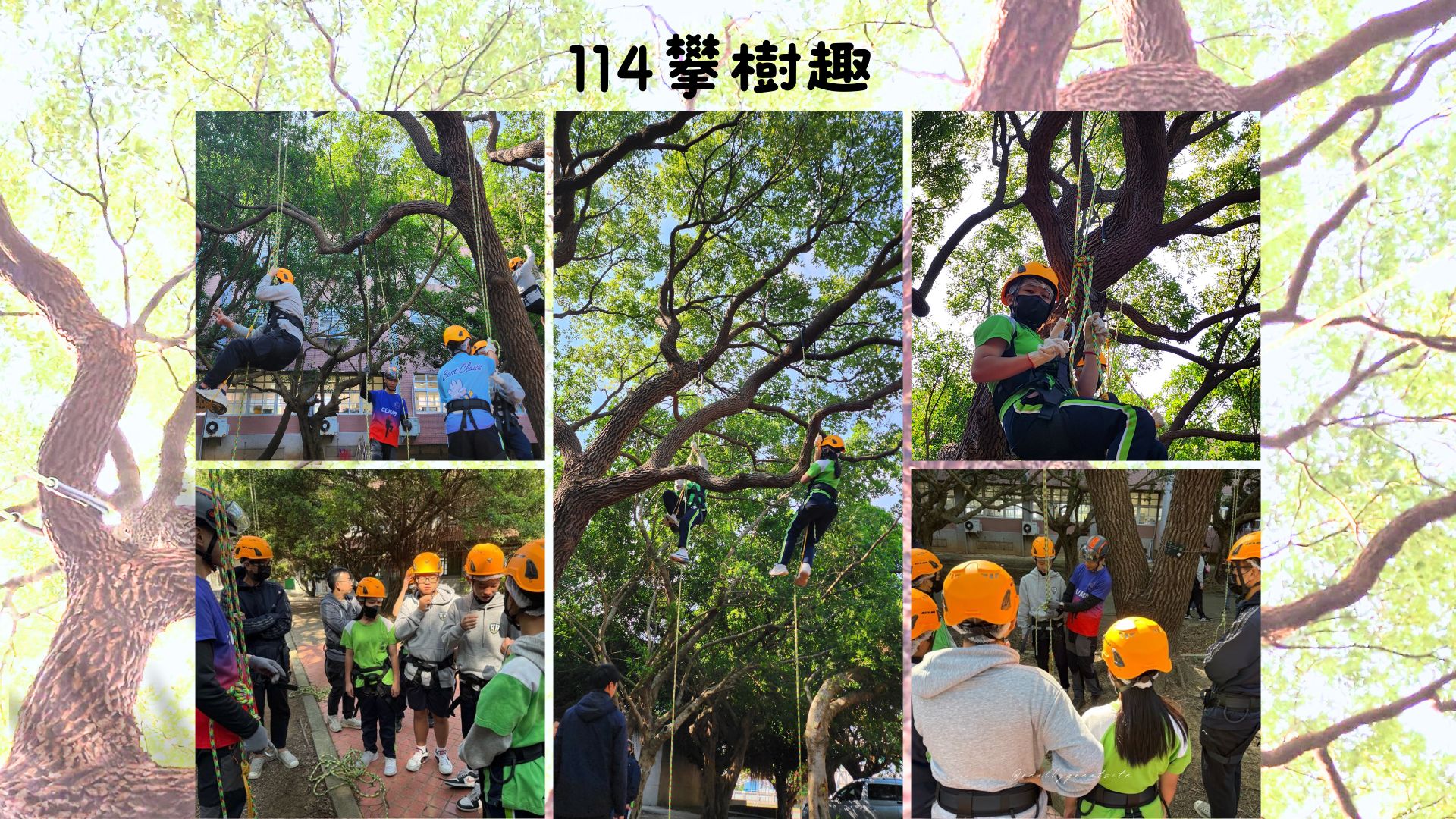 師生攀樹課程體驗